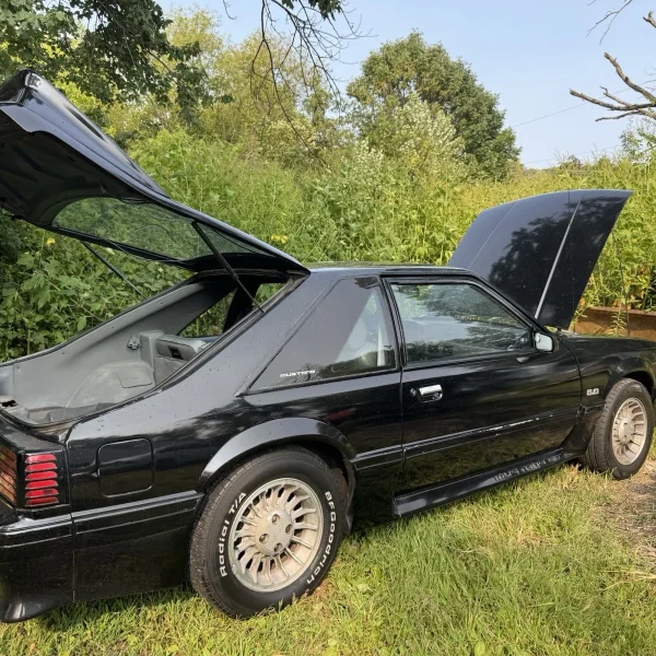 1989 Ford Mustang GT